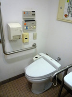 Medium_とっとり花回廊 (27)s